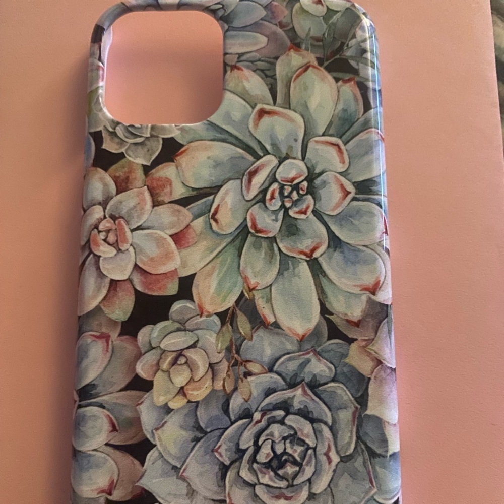 This is a brand new iPhone 11 Pro succulent case